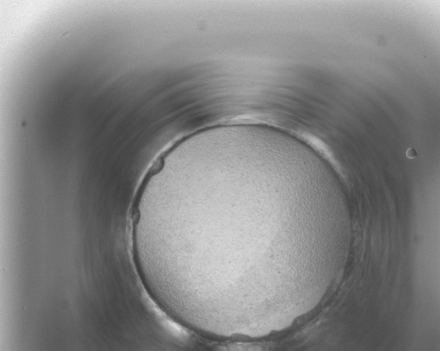 X0000068271476200605051802