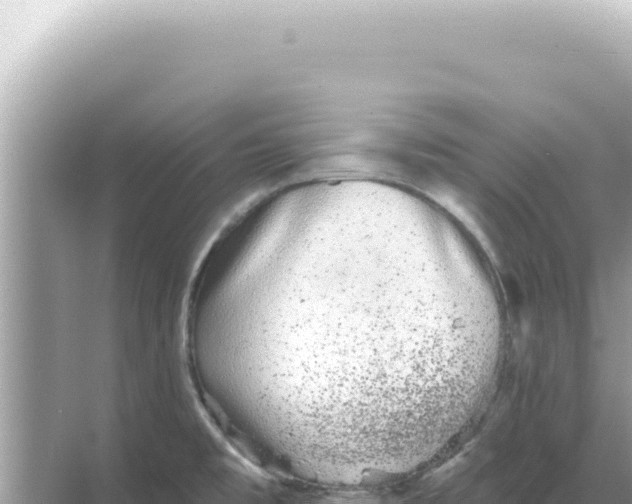 X0000068271477200605051802