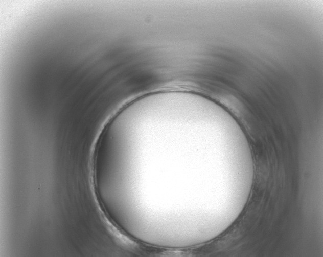 X0000068271478200605051802