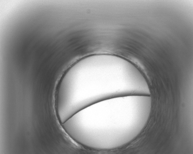 X0000068271480200605051802