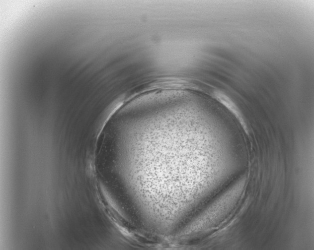 X0000068271481200605051802