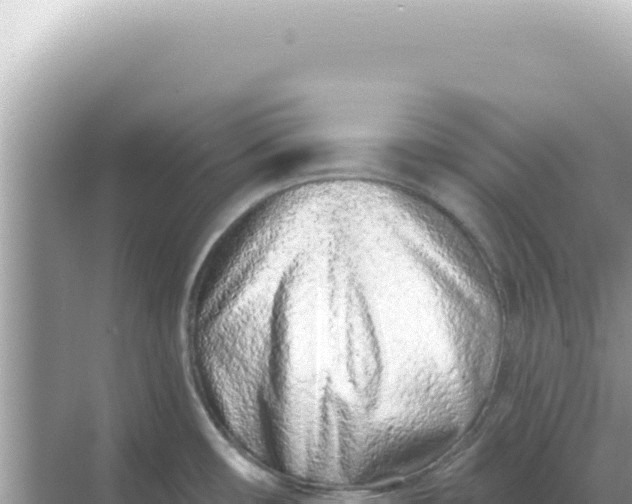 X0000068271482200605051802