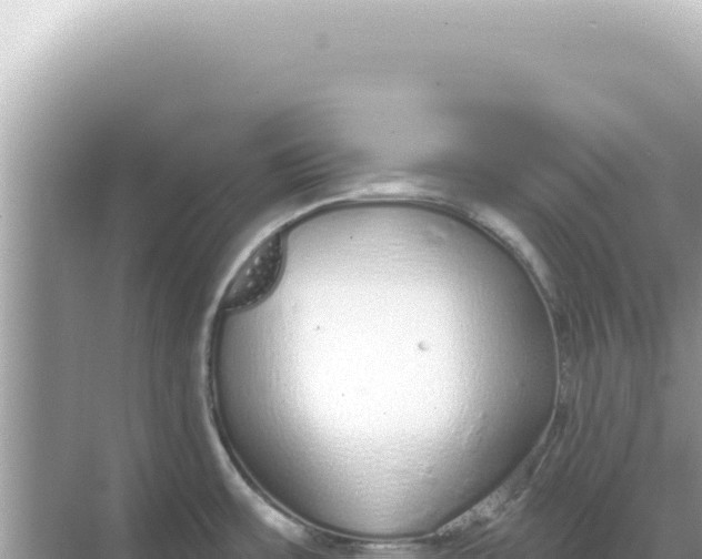 X0000068271483200605051802