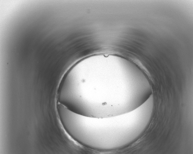 X0000068271484200605051802