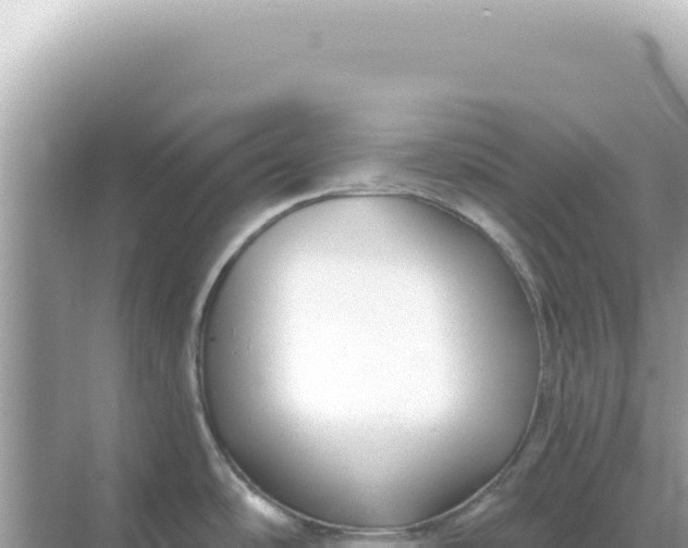 X0000068271486200605051802