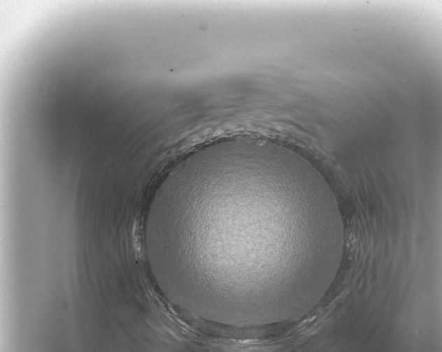 X0000068271490200605051801