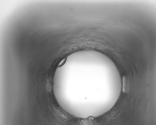 X0000068271491200605051801