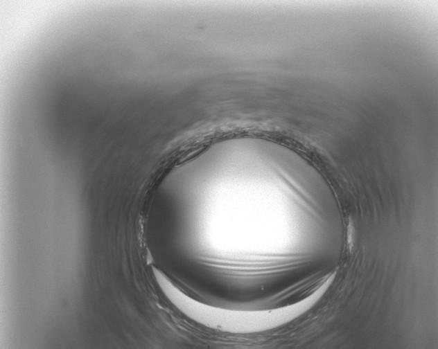 X0000068271492200605051801