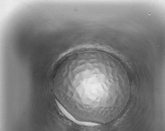 X0000068271494200605051801