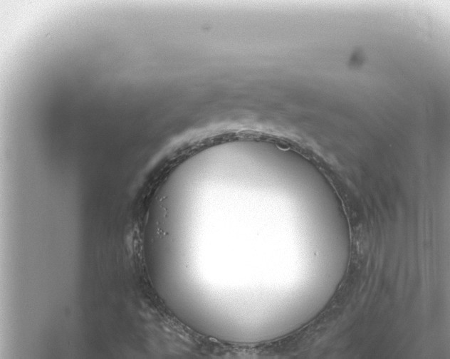 X0000068271495200605051801