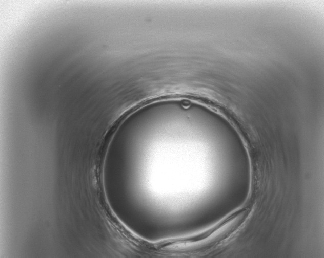 X0000068271497200605051801