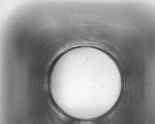 X0000068271498200605051801