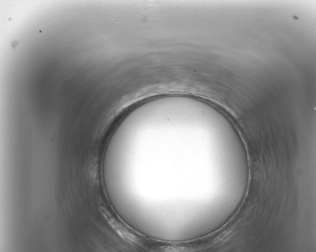 X0000068271499200605051801