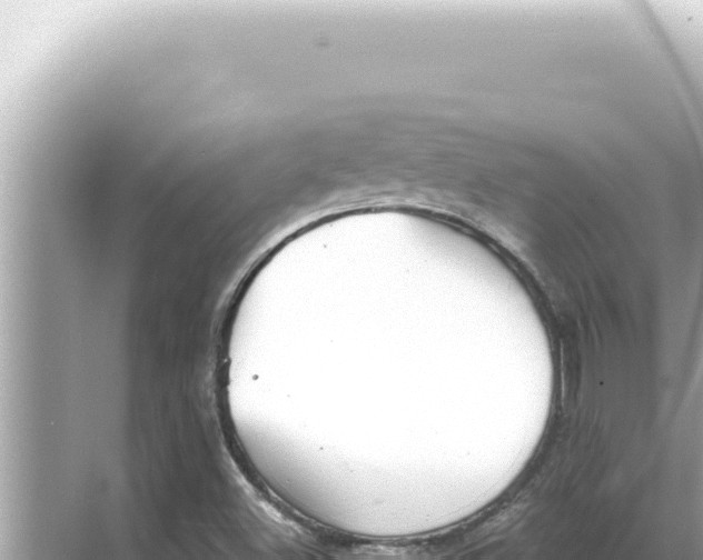 X0000068271500200605051801