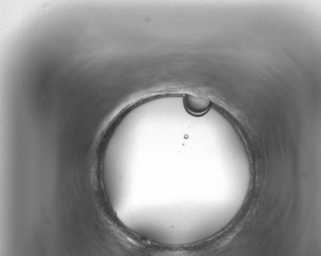 X0000068271502200605051801