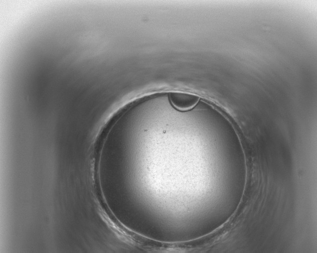 X0000068271503200605051801