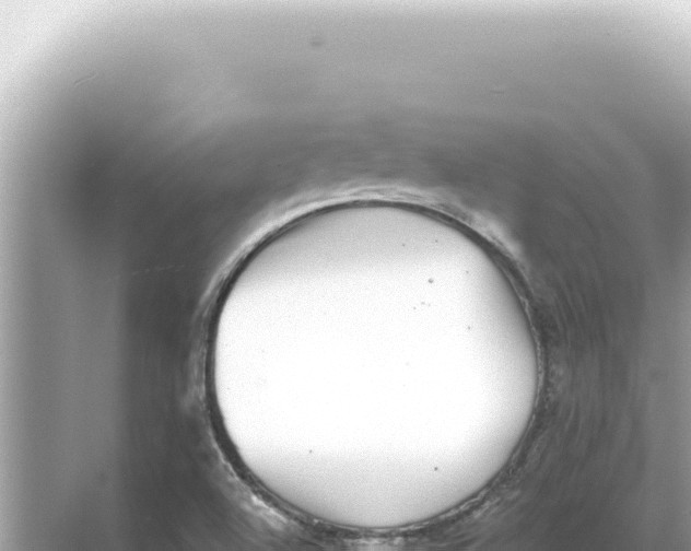 X0000068271504200605051801