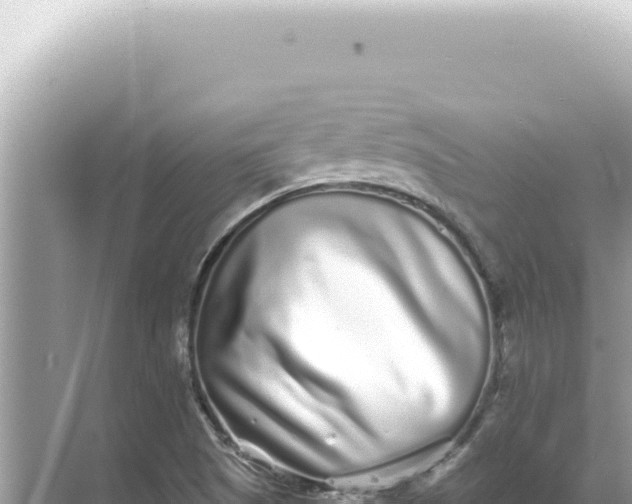 X0000068271505200605051801