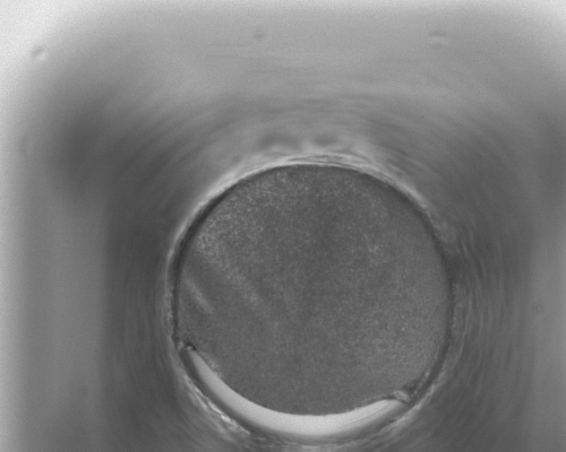 X0000068271506200605051801