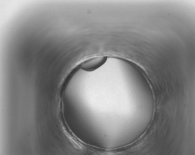 X0000068271507200605051801