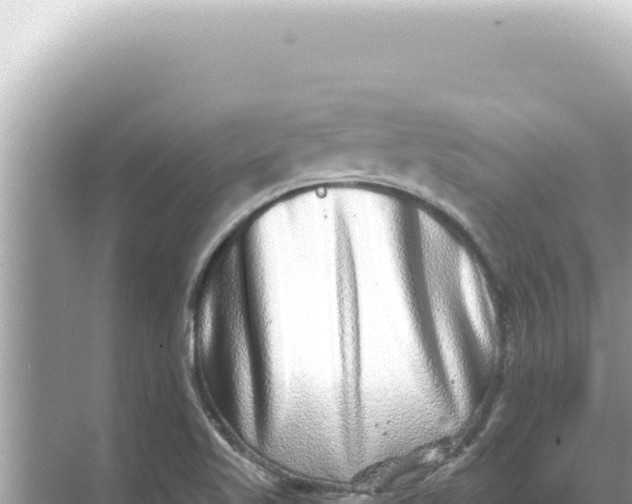 X0000068271509200605051801