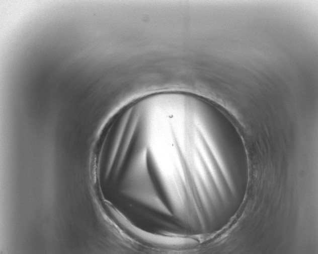 X0000068271510200605051801