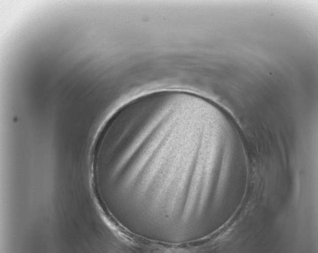 X0000068271511200605051801