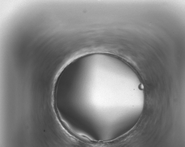 X0000068271512200605051801