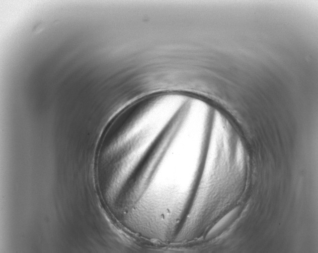 X0000068271513200605051801