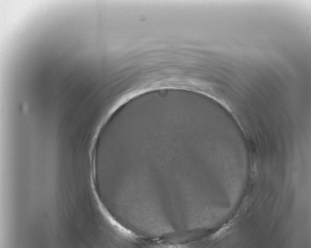 X0000068271515200605051801