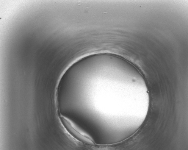 X0000068271516200605051801