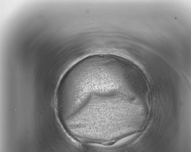 X0000068271517200605051801