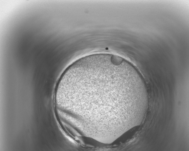 X0000068271519200605051802