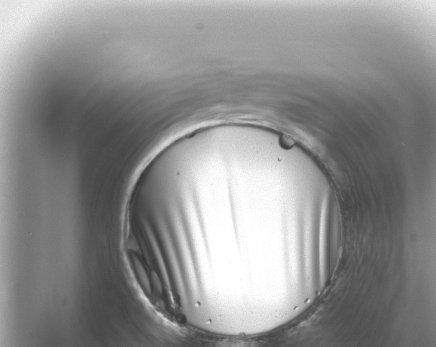 X0000068271520200605051802