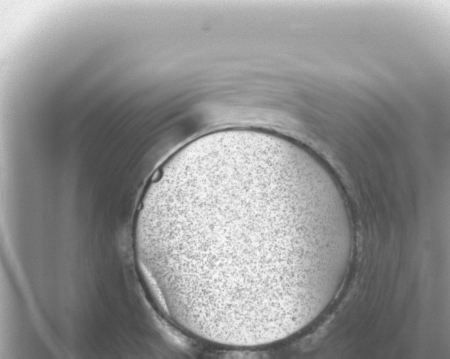 X0000068271521200605051802