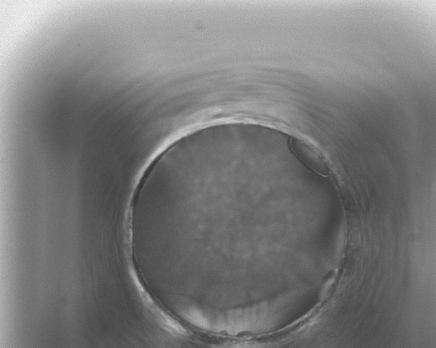 X0000068271522200605051802