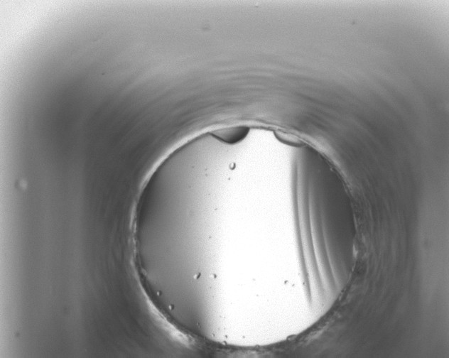 X0000068271524200605051802