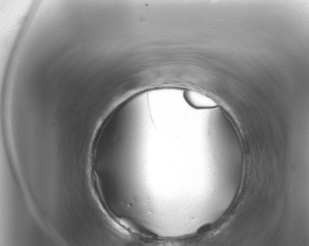 X0000068271525200605051802