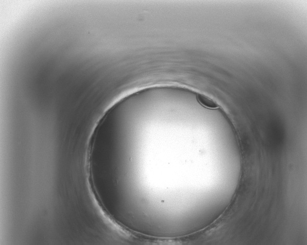 X0000068271526200605051802