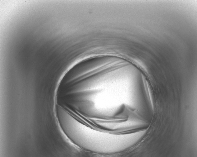 X0000068271528200605051802