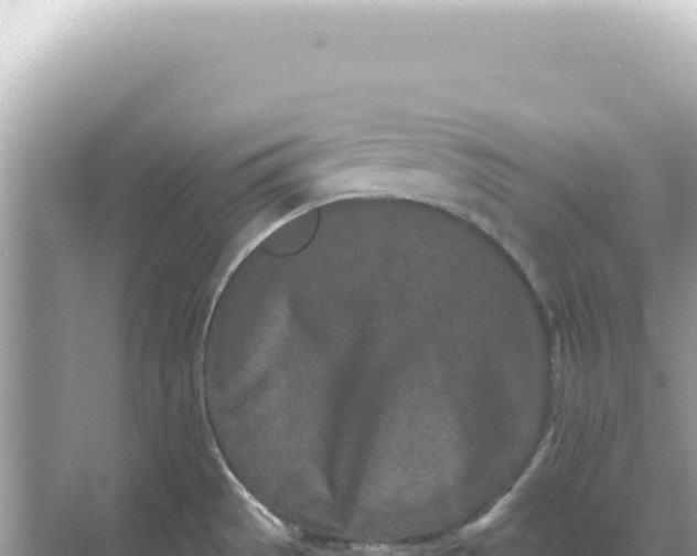 X0000068271529200605051802