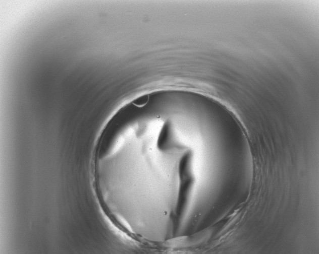 X0000068271531200605051802