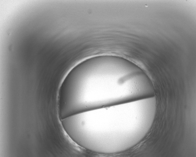 X0000068271532200605051802