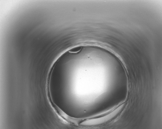 X0000068271533200605051802