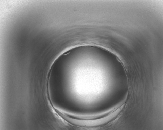 X0000068271534200605051802