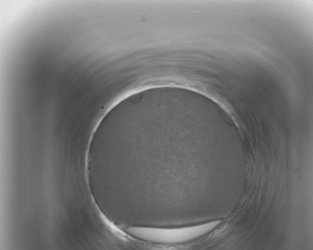 X0000068271535200605051802