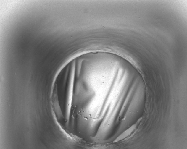 X0000068271536200605051802