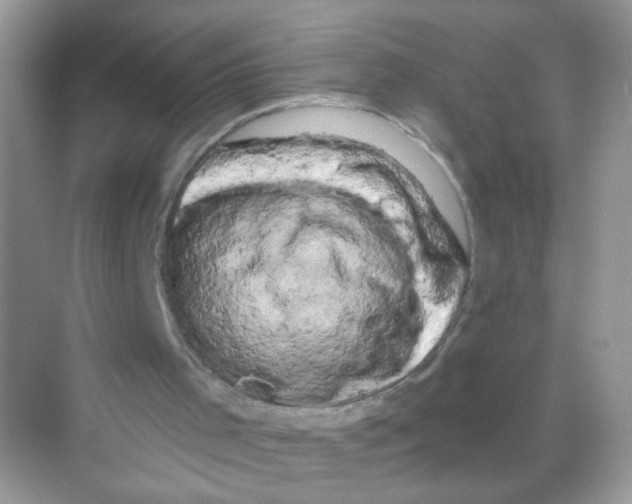 X0000068270001200605121858