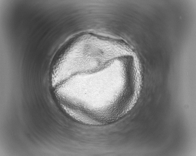 X0000068270002200605121858