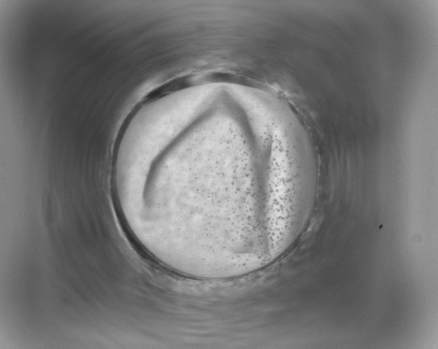 X0000068270003200605121858